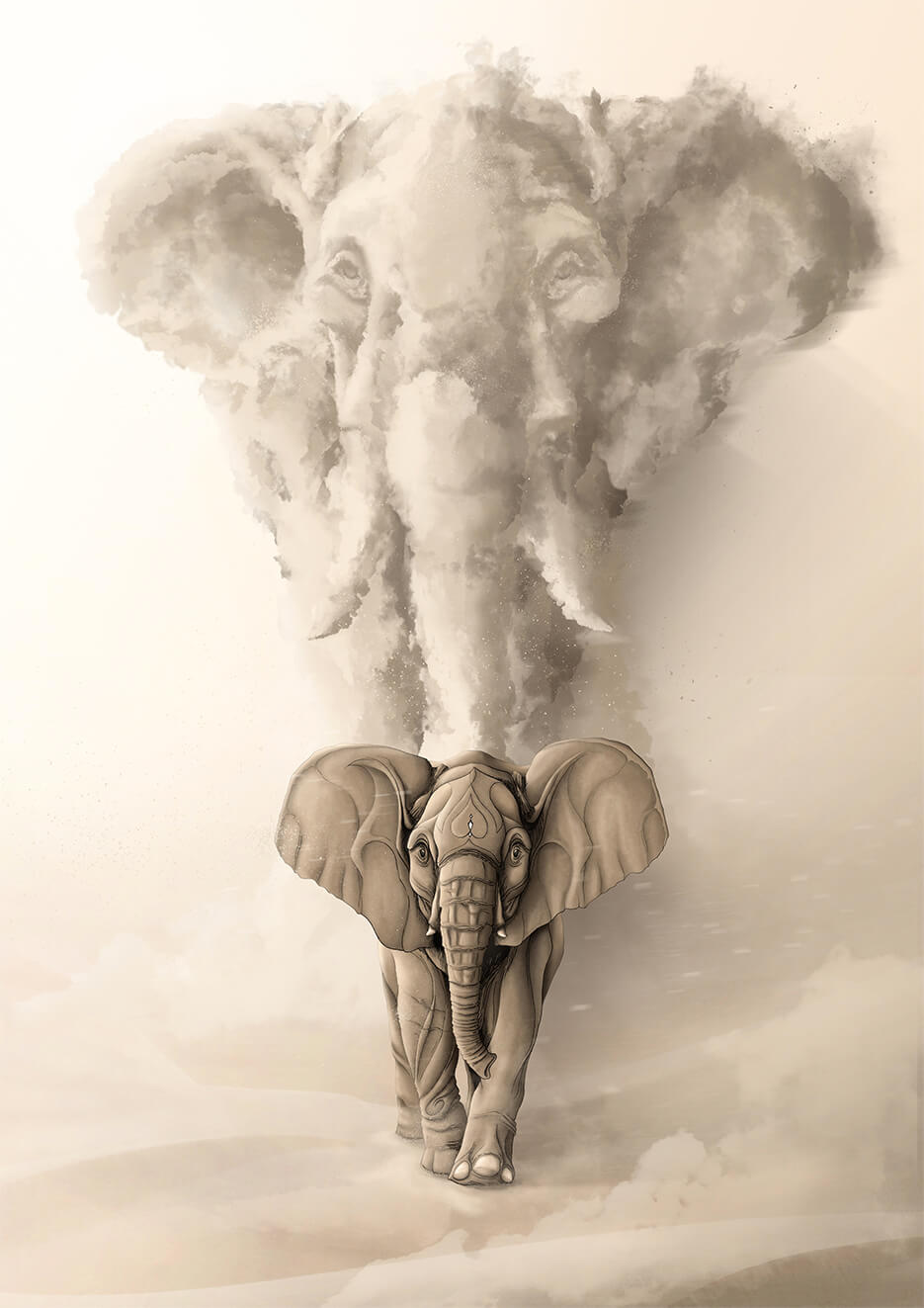 Né pour être sauvage : Éléphant - Original