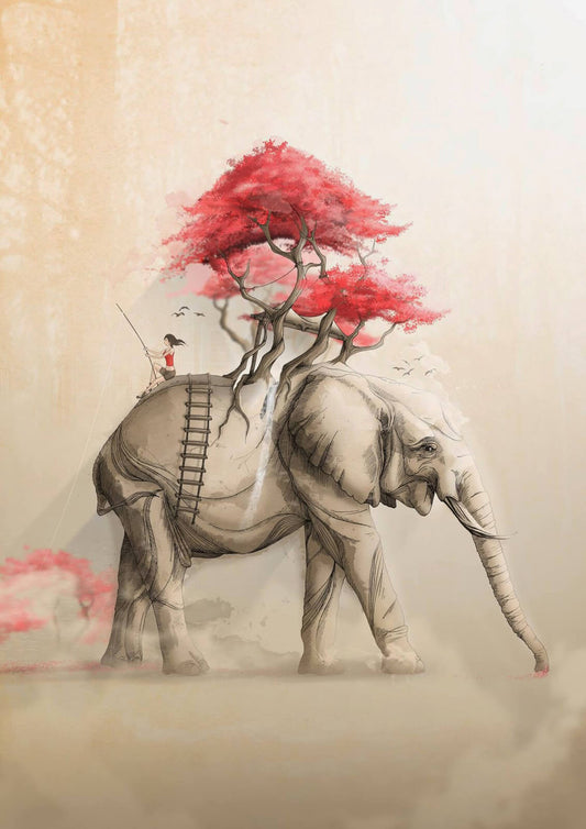 Fishing Memories in the Elephant - Limited Ed.