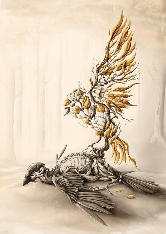 Rebirth - Limited Ed.