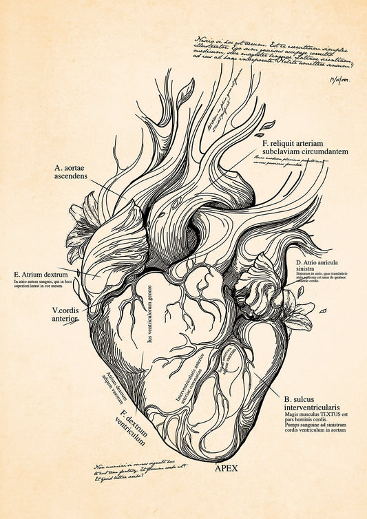 Heart in Leaves and Branches - Ed. limitada