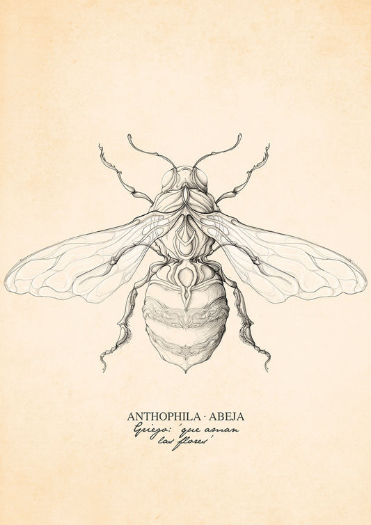 ANTHOPHILA - Ed. limitada