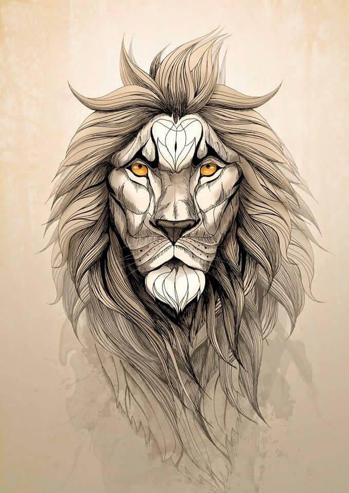 The Lion - limited edition (framed Art)