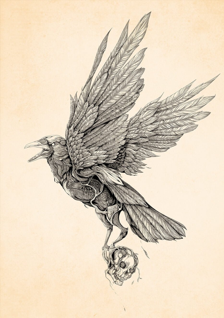 El cuervo del bosque · Lámina de arte